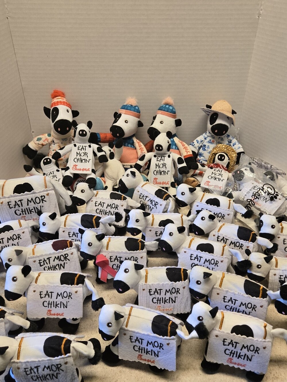 Lot Of 30+ Chick Fil A Plush Cows